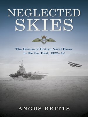 cover image of Neglected Skies